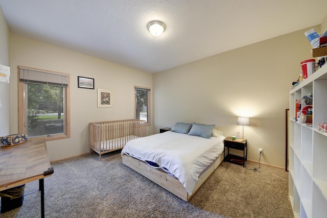 5800 Tinnin Rd NW, Los Ranchos, NM 87107 - photo 35