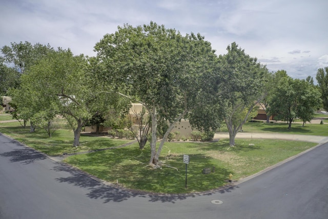 5800 Tinnin Rd NW, Los Ranchos, NM 87107 - photo 53