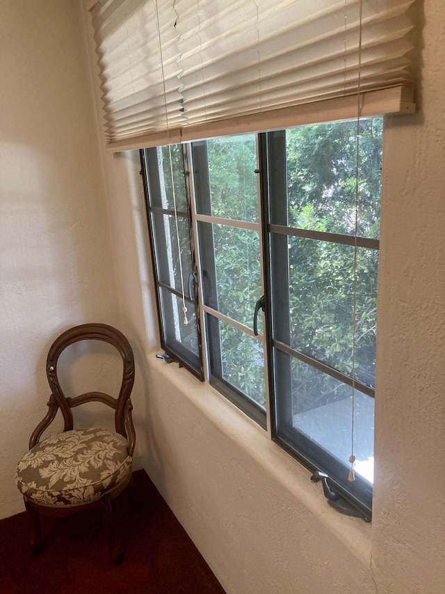 1010 Santa Anita Dr, Belen, NM 87002 - photo 43