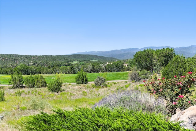 29 Hogan Ct, Sandia Park, NM 87047 - photo 45