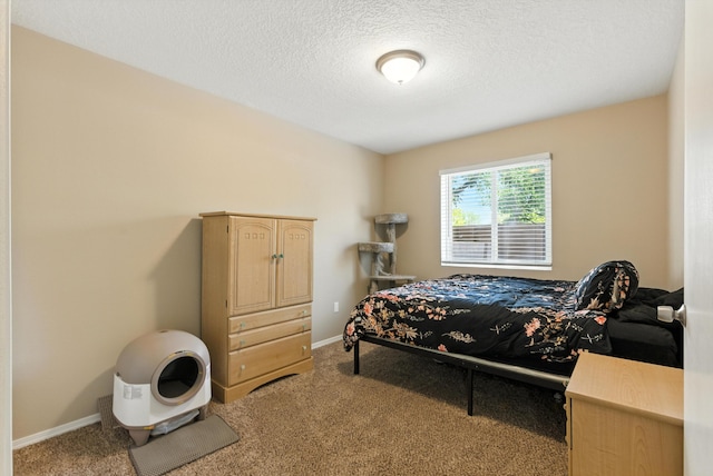 11200 Vistazo Pl SE, Albuquerque, NM 87123 - photo 19