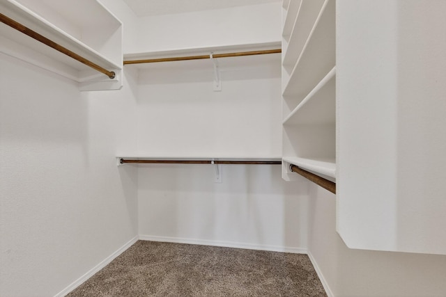 4212 Skyline Loop NE, Rio Rancho, NM 87144 - photo 21