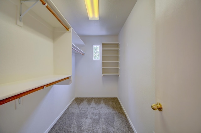 7824 Latir Mesa Rd NW, Albuquerque, NM 87114 - photo 13
