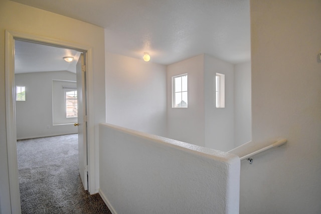 7824 Latir Mesa Rd NW, Albuquerque, NM 87114 - photo 9