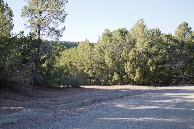 Listing photo 2 for 42 Puntilla Dr, Tijeras NM 87059