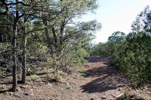 Listing photo 3 for 42 Puntilla Dr, Tijeras NM 87059