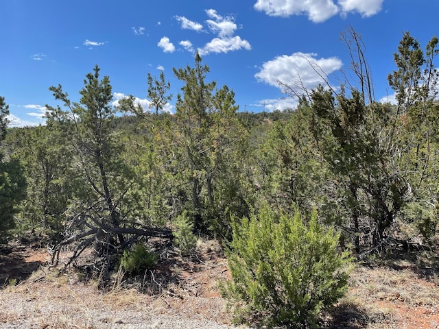 51 Canyon Ridge Dr, Sandia Park NM, 87047 land for sale