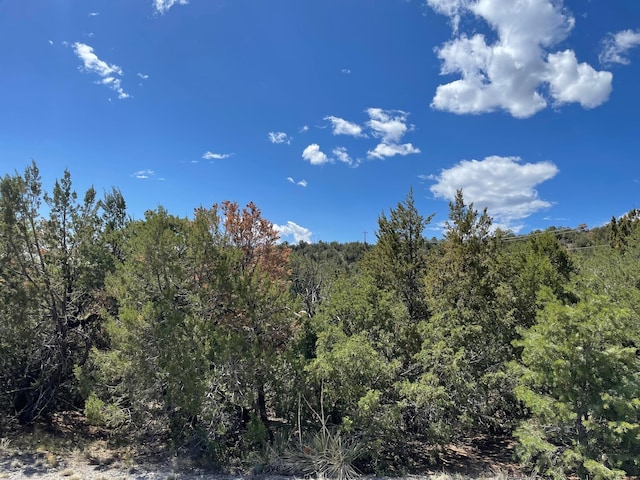 Listing photo 3 for 51 Canyon Ridge Dr, Sandia Park NM 87047