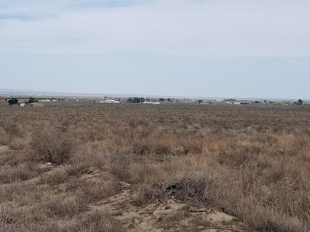 64 Golondrina St, Mcintosh, NM 87032 - photo 2