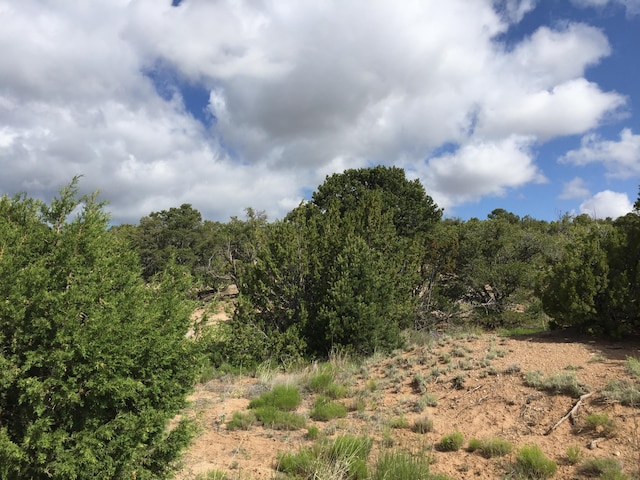 84 Rain Dance Rd, Sandia Park NM, 87047 land for sale