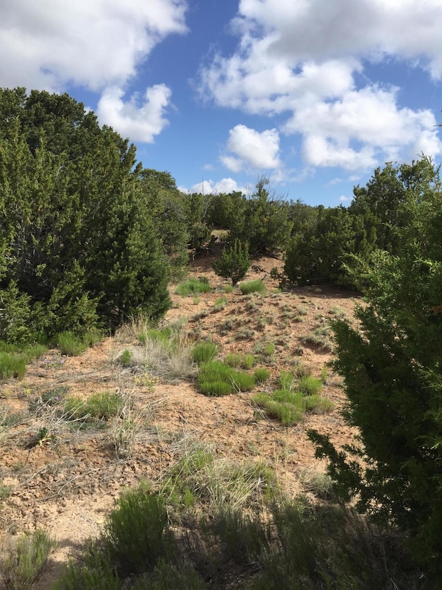 Listing photo 2 for 84 Rain Dance Rd, Sandia Park NM 87047