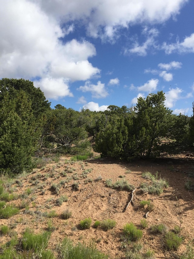 Listing photo 3 for 84 Rain Dance Rd, Sandia Park NM 87047