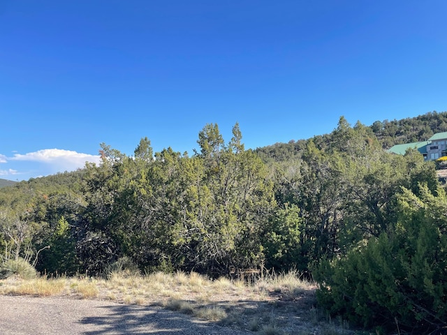 55 Canyon Ridge Dr, Sandia Park NM, 87047 land for sale