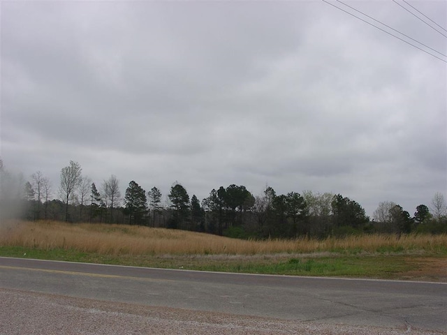 Listing photo 2 for 10985 Highway 57, Counce TN 38326