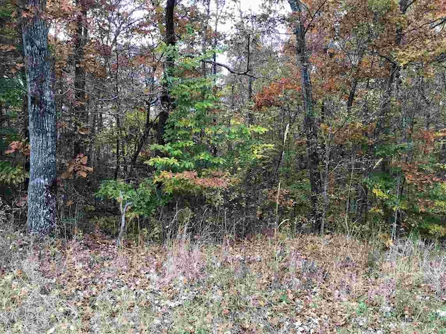 4 Country Woods Dr, Selmer TN, 38375 land for sale