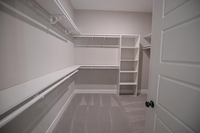 spacious closet with carpet flooring