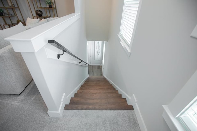 staircase with carpet