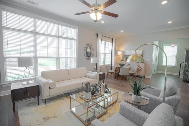 living room featuring ceiling fan, ornamental molding, and hardwood / wood-style floors