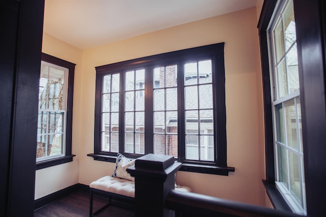 interior space featuring dark hardwood / wood-style floors