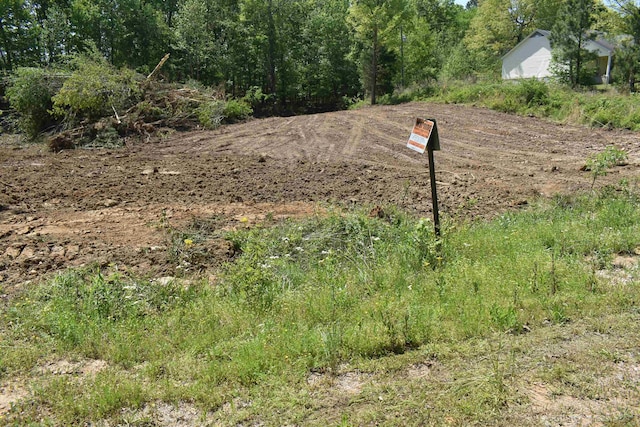 00 Amelia Briann Dr, Selmer TN, 38375 land for sale