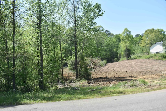 Listing photo 3 for 00 Amelia Briann Dr, Selmer TN 38375