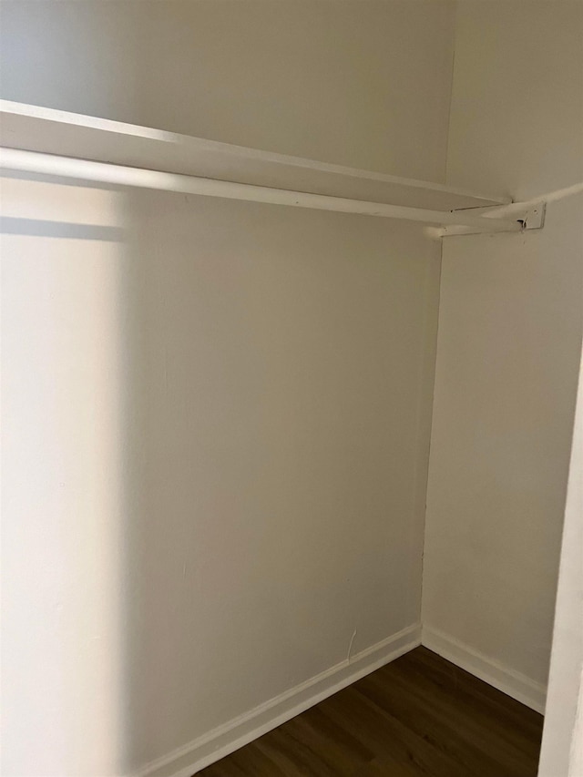 spacious closet featuring dark hardwood / wood-style floors