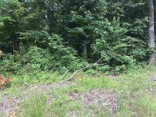 Masters Ct, Counce TN, 38326 land for sale