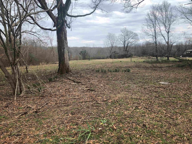 0 W Stewart Rd, Lakeland TN, 38002 land for sale