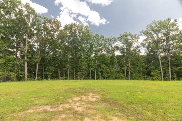 0 Twin View Cir, Selmer TN, 38375 land for sale