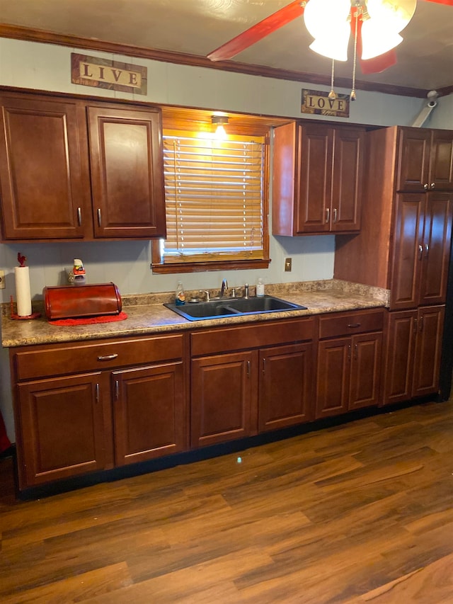 kitchen featuring dark hardwood / wood-style flooring, ceiling fan, and sink