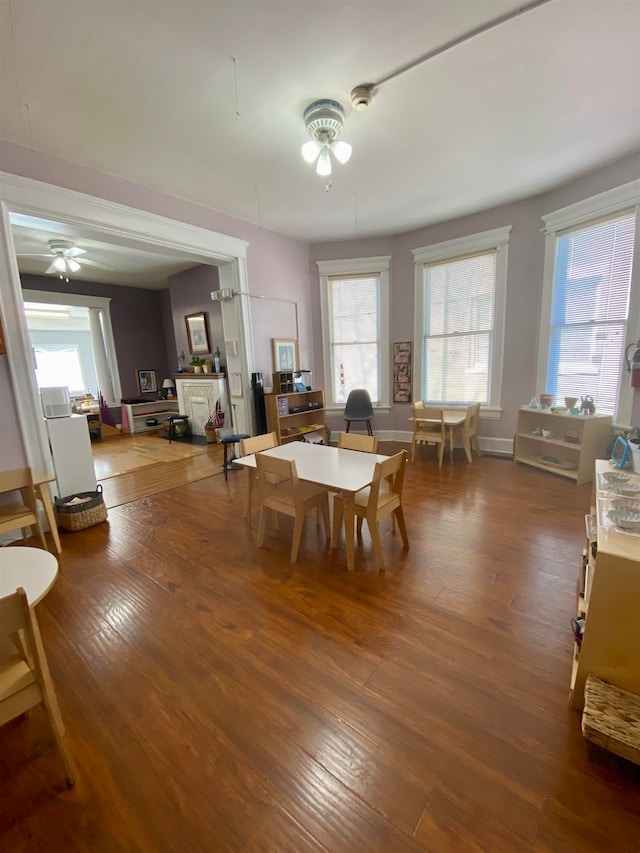 dining space featuring plenty of natural light, hardwood / wood-style floors, and ceiling fan