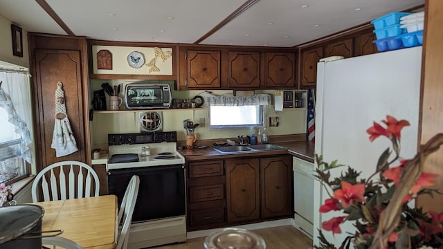 kitchen with light hardwood / wood-style floors, white appliances, sink, and dark brown cabinets