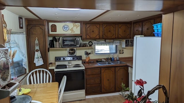 kitchen with white appliances, light hardwood / wood-style flooring, sink, and dark brown cabinetry