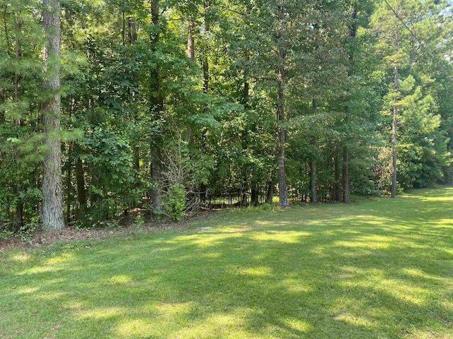 173 Sandpiper Pt, Counce TN, 38326 land for sale