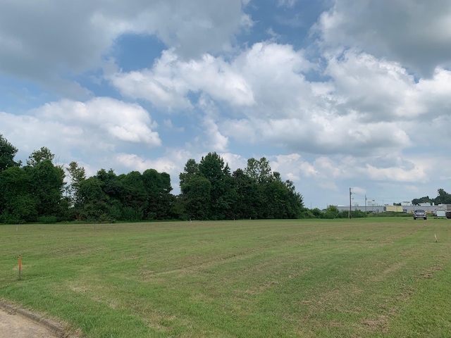 00 Willow Creek Dr, Ripley TN, 38063 land for sale