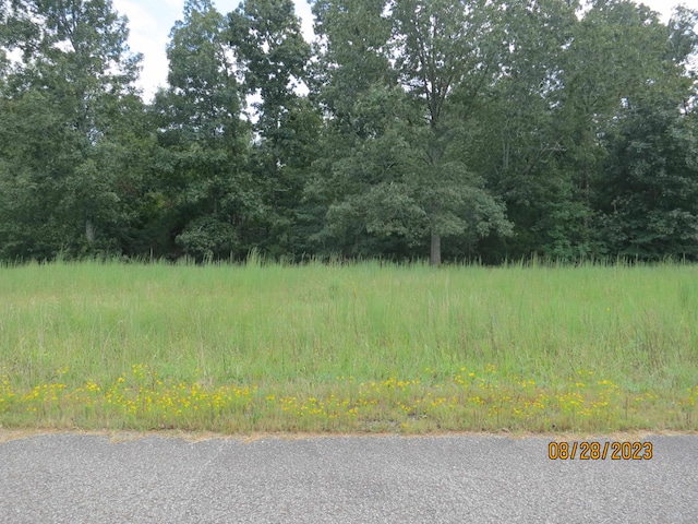 1112 Falcon Cv, Middleton, TN 38052