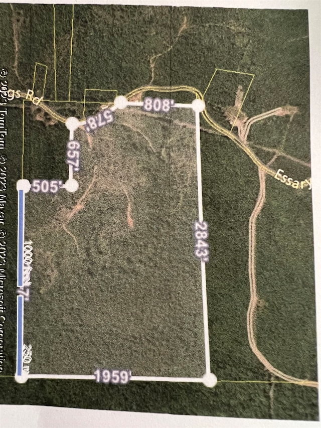 Essary Springs Rd, Pocahontas, TN 38061