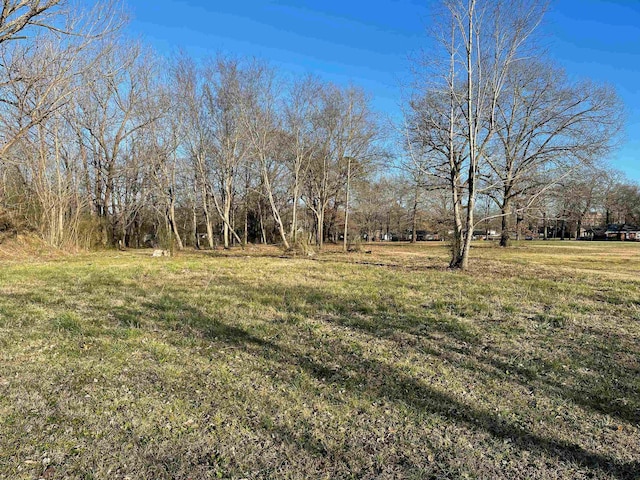 250 Shell St, Savannah TN, 38372 land for sale