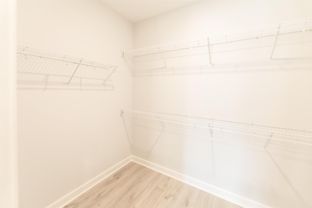 spacious closet featuring wood-type flooring