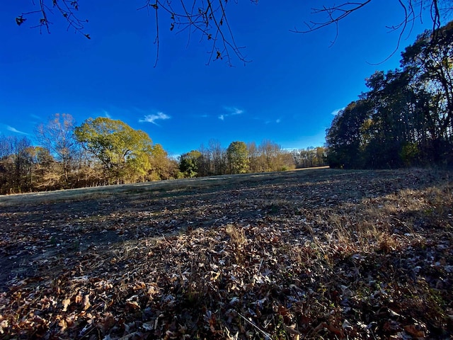 1470 Old Brownsville Road, Tn, Somerville, TN 38068