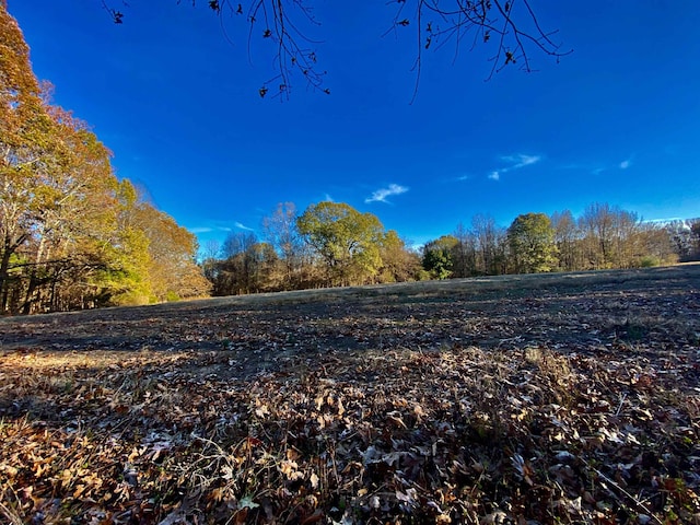1470 Old Brownsville Road, Tn, Somerville, TN 38068