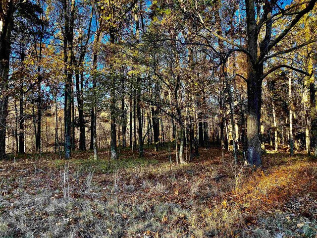 1470 Old Brownsville Road, Tn, Somerville, TN 38068
