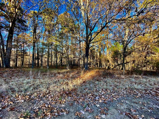 1470 Old Brownsville Road, Tn, Somerville, TN 38068