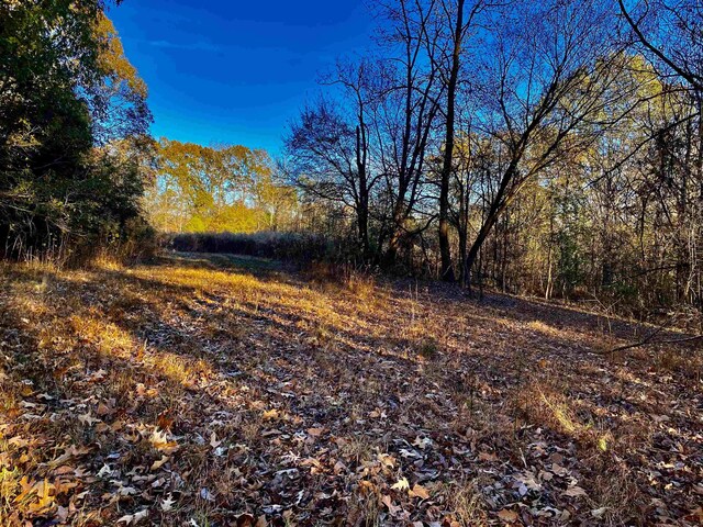 1470 Old Brownsville Road, Tn, Somerville, TN 38068