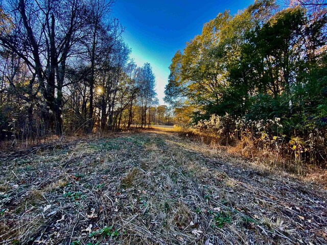 1470 Old Brownsville Road, Tn, Somerville, TN 38068