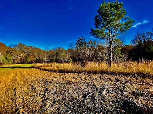 Listing photo 3 for 1470 Old Brownsville Road, Tn, TN 38068