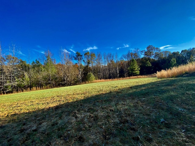 1470 Old Brownsville Road, Tn, Somerville, TN 38068