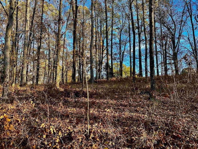 1470 Old Brownsville Road, Tn, Somerville, TN 38068