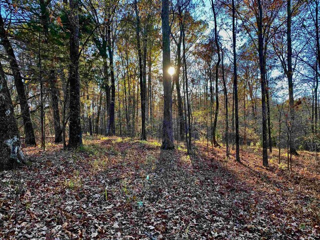 1470 Old Brownsville Road, Tn, Somerville, TN 38068