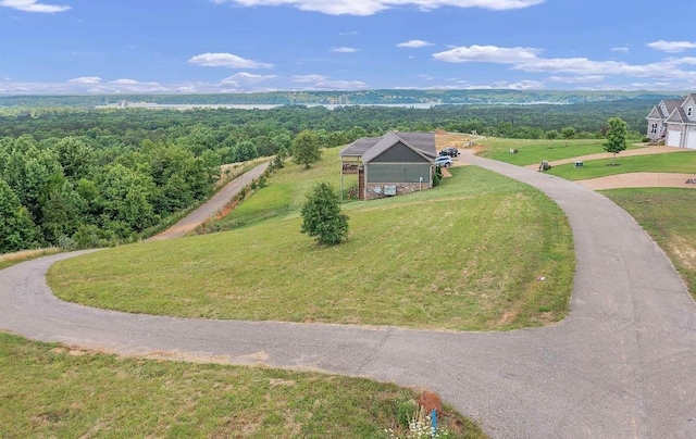 305 Turkey Knob Ln, Counce TN, 38326 land for sale